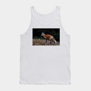 Red Fox - Algonquin Park, Canada Tank Top